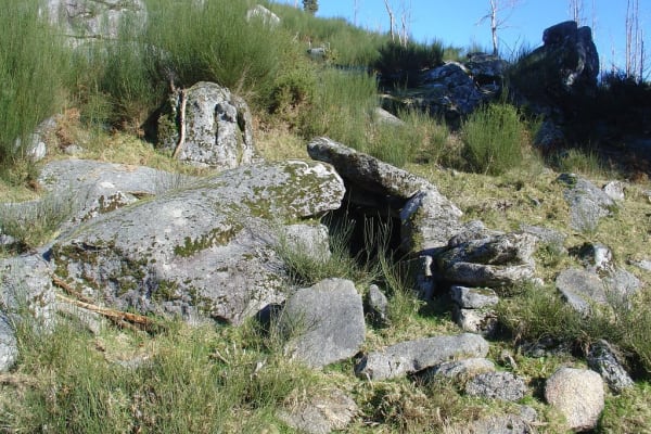 Foto 32 da atividade Galeria de Fotos