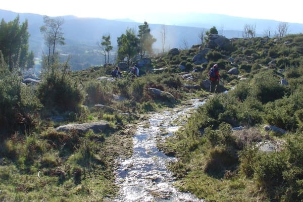 Foto 20 da atividade Galeria de Fotos