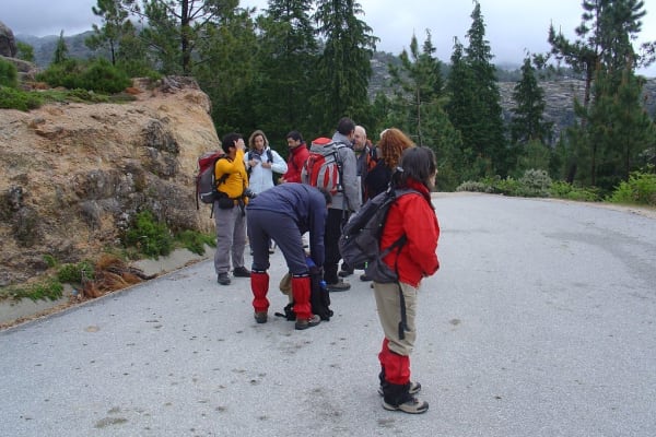 Foto 131 da atividade Galeria de Fotos