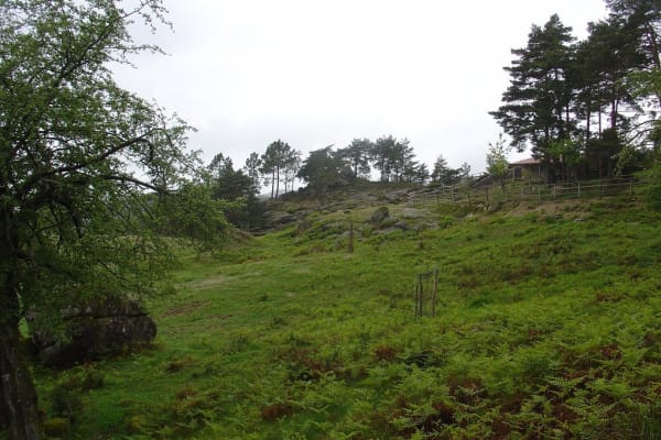 Foto 129 da atividade Galeria de Fotos