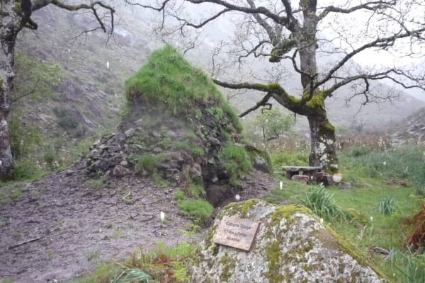 Foto 100 da atividade Galeria de Fotos