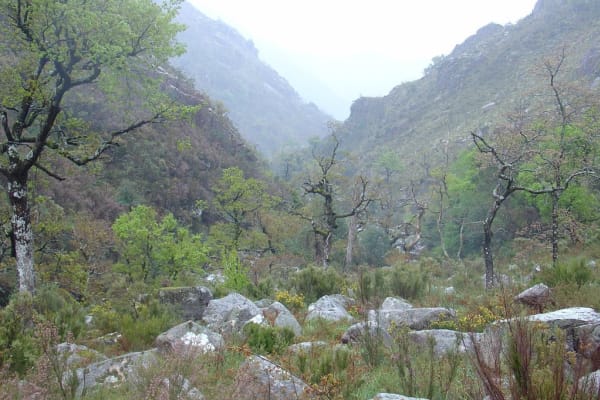 Foto 98 da atividade Galeria de Fotos