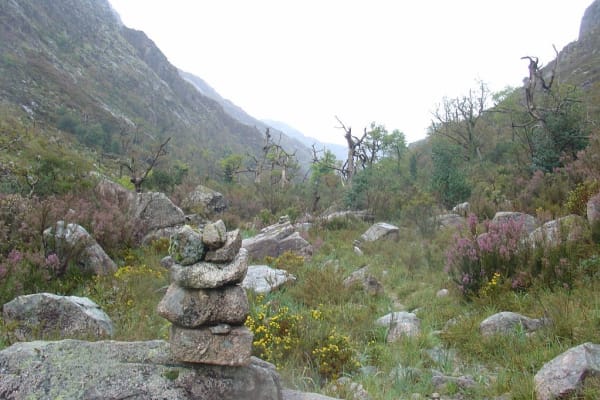 Foto 78 da atividade Galeria de Fotos