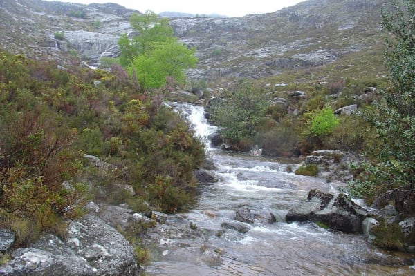 Foto 64 da atividade Galeria de Fotos