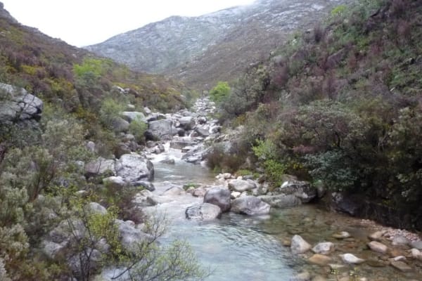 Foto 65 da atividade Galeria de Fotos