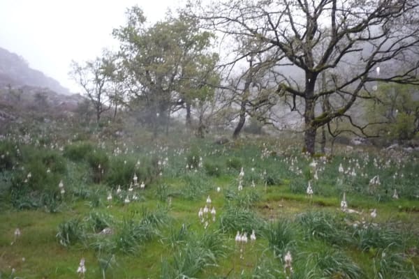 Foto 32 da atividade Galeria de Fotos