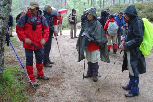 Foto 14 da atividade Galeria de Fotos