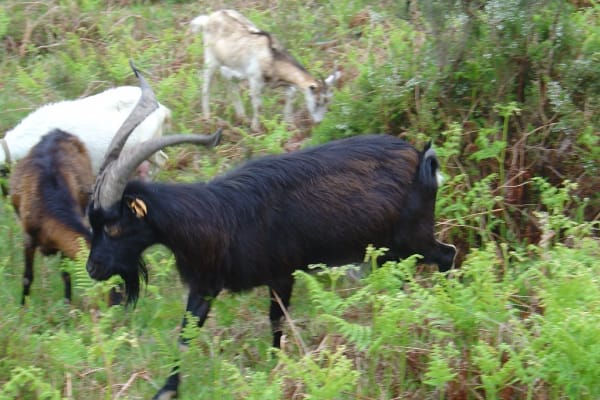 Foto 7 da atividade Galeria de Fotos