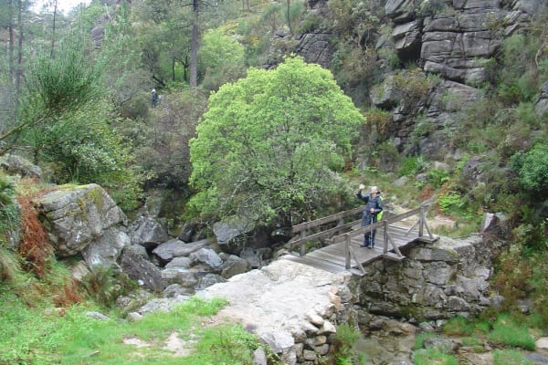 Foto 6 da atividade Galeria de Fotos