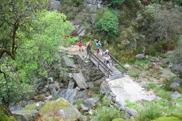 Foto 9 da atividade Galeria de Fotos