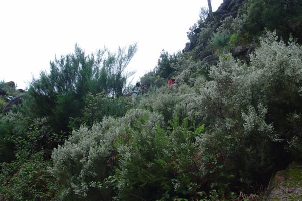 Foto 4 da atividade Galeria de Fotos