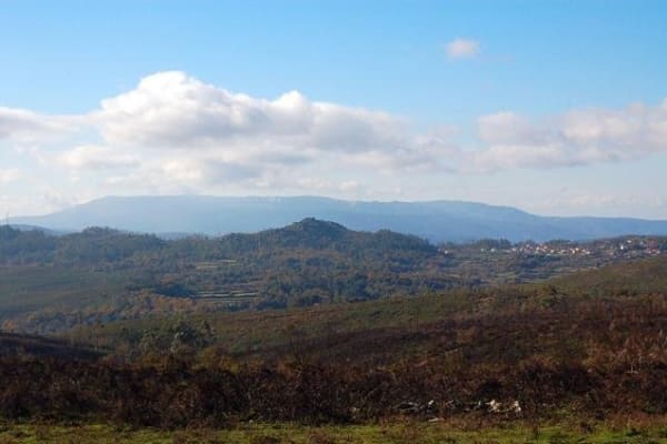 Foto 98 da atividade Galeria de Fotos