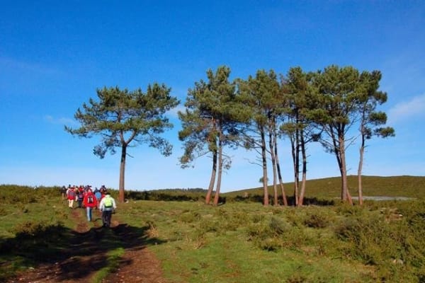 Foto 96 da atividade Galeria de Fotos