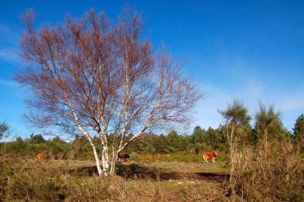 Foto 91 da atividade Galeria de Fotos