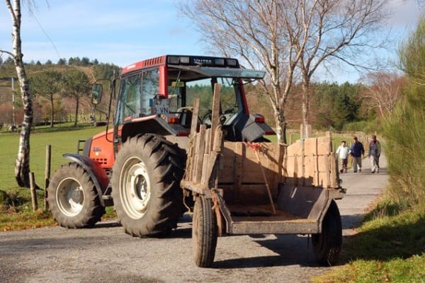 Foto 71 da atividade Galeria de Fotos