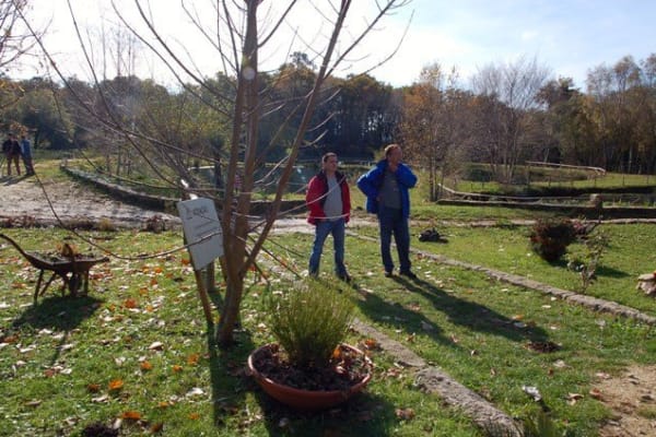 Foto 70 da atividade Galeria de Fotos