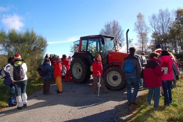 Foto 59 da atividade Galeria de Fotos