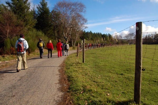 Foto 51 da atividade Galeria de Fotos