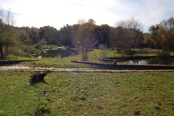 Foto 46 da atividade Galeria de Fotos