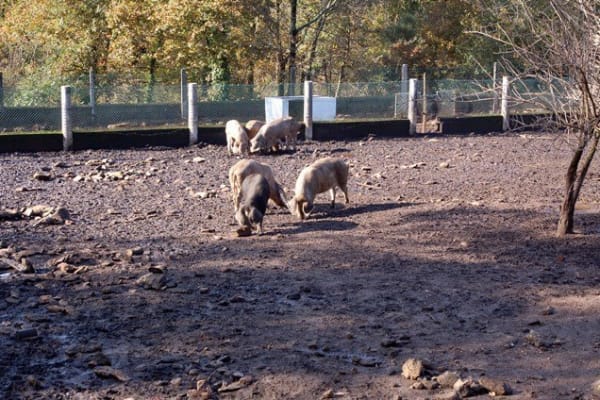 Foto 31 da atividade Galeria de Fotos