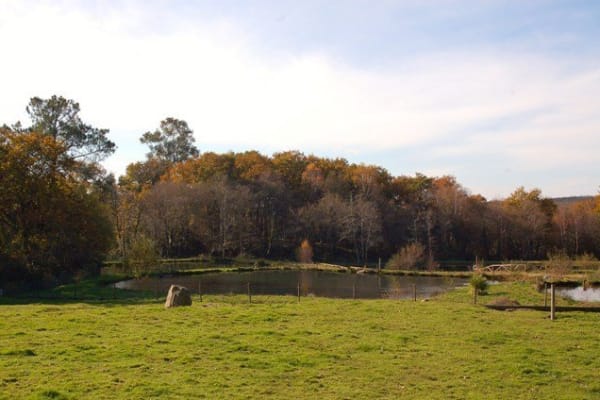 Foto 25 da atividade Galeria de Fotos