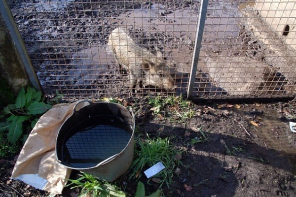 Foto 22 da atividade Galeria de Fotos