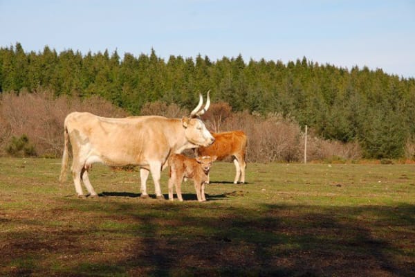 Foto 17 da atividade Galeria de Fotos