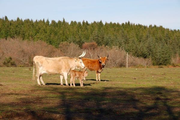 Foto 13 da atividade Galeria de Fotos