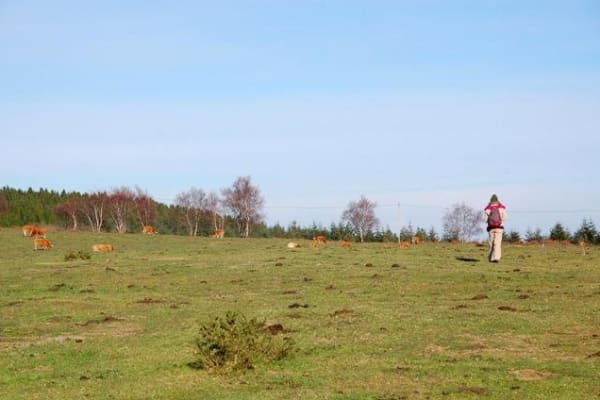 Foto 5 da atividade Galeria de Fotos