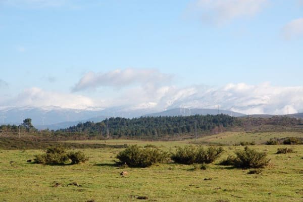 Foto 3 da atividade Galeria de Fotos