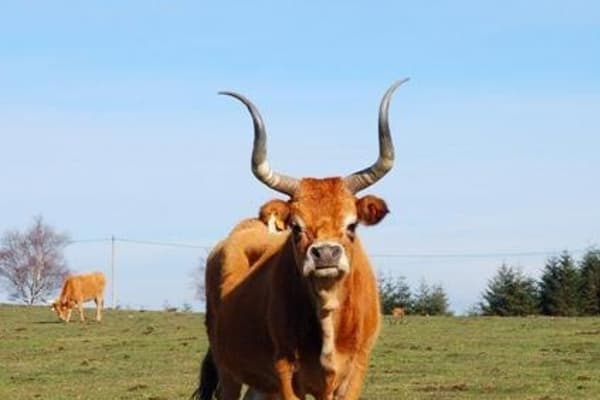 Foto 6 da atividade Galeria de Fotos