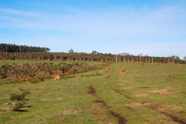 Foto 2 da atividade Galeria de Fotos