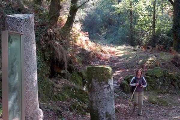 Foto 107 da atividade Galeria de Fotos