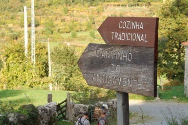 Foto 98 da atividade Galeria de Fotos