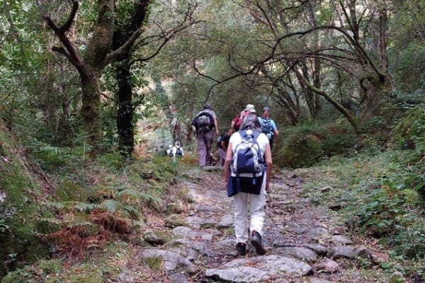 Foto 87 da atividade Galeria de Fotos