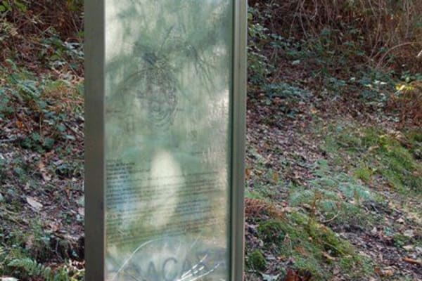 Foto 81 da atividade Galeria de Fotos