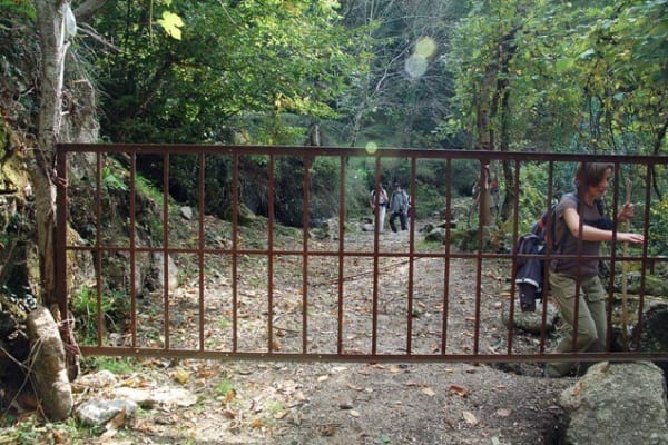 Foto 78 da atividade Galeria de Fotos