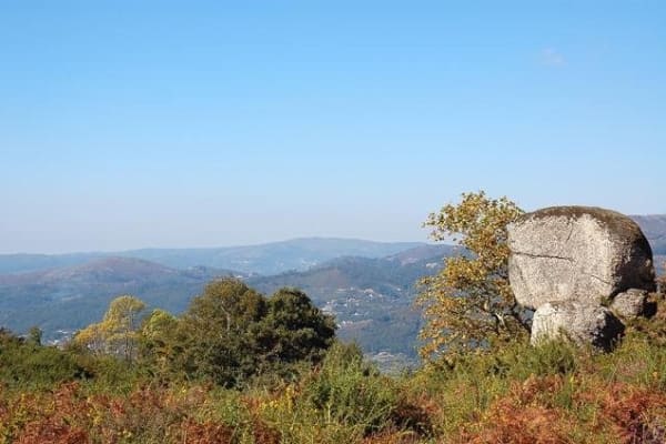 Foto 72 da atividade Galeria de Fotos