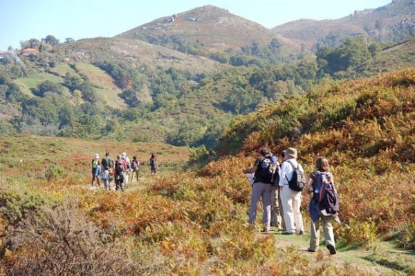 Foto 64 da atividade Galeria de Fotos