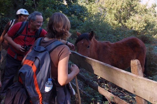 Foto 58 da atividade Galeria de Fotos