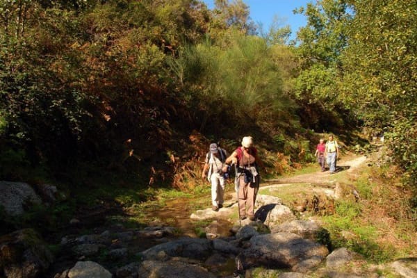 Foto 51 da atividade Galeria de Fotos