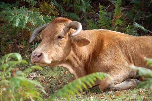 Foto 47 da atividade Galeria de Fotos