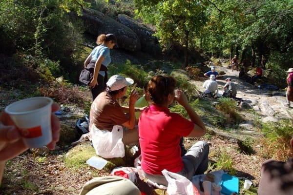 Foto 24 da atividade Galeria de Fotos