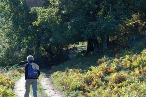 Foto 12 da atividade Galeria de Fotos