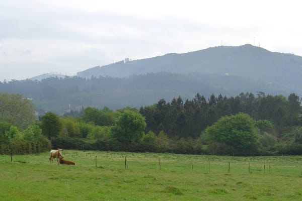 Foto 97 da atividade Galeria de Fotos