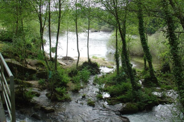 Foto 78 da atividade Galeria de Fotos