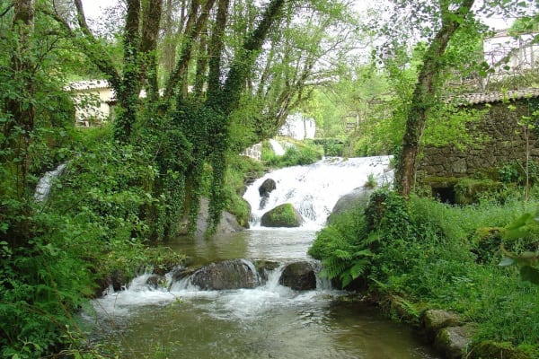 Foto 79 da atividade Galeria de Fotos