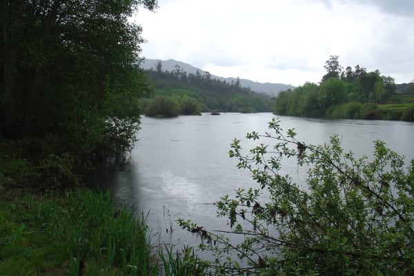 Foto 73 da atividade Galeria de Fotos