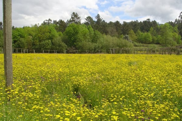 Foto 77 da atividade Galeria de Fotos