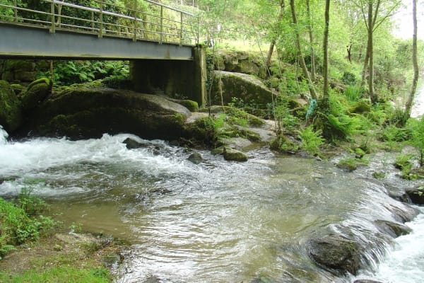 Foto 59 da atividade Galeria de Fotos